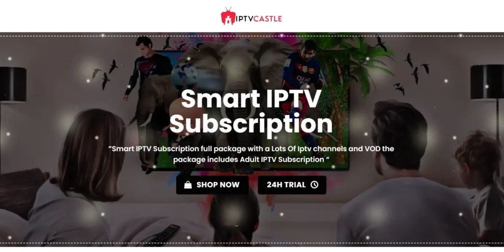 IPTV Castle